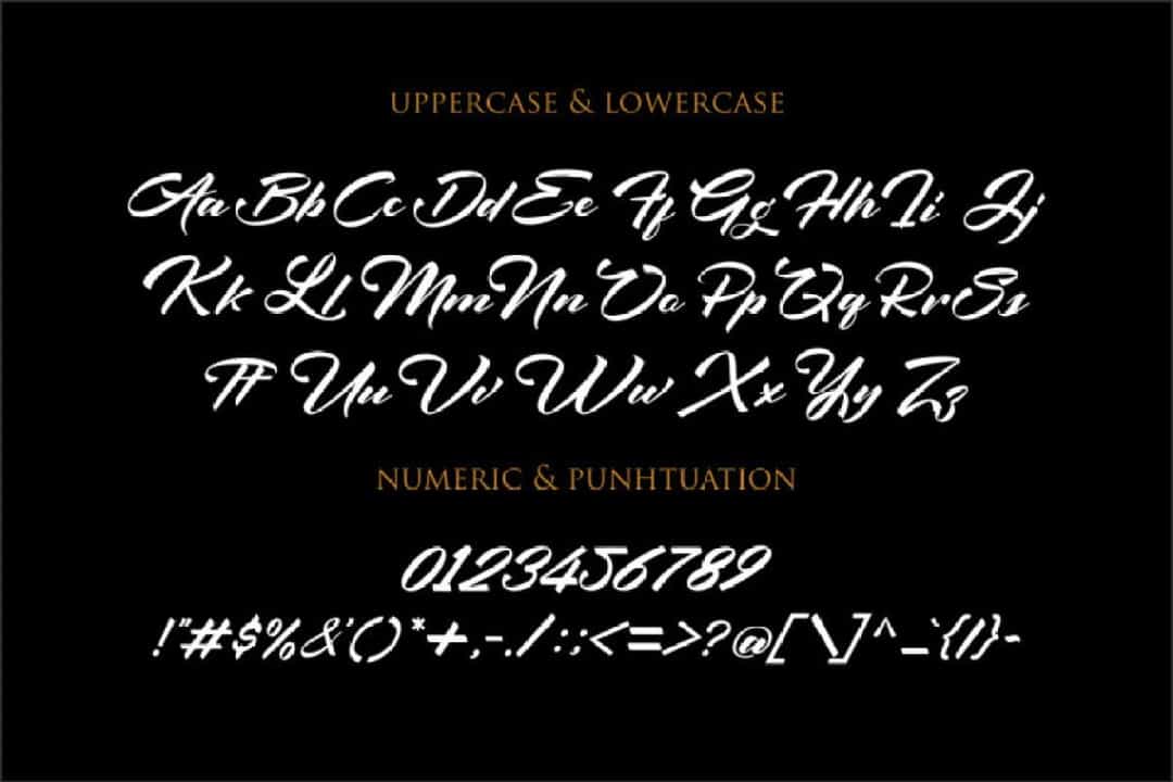 Angellina Brush Font Image 3