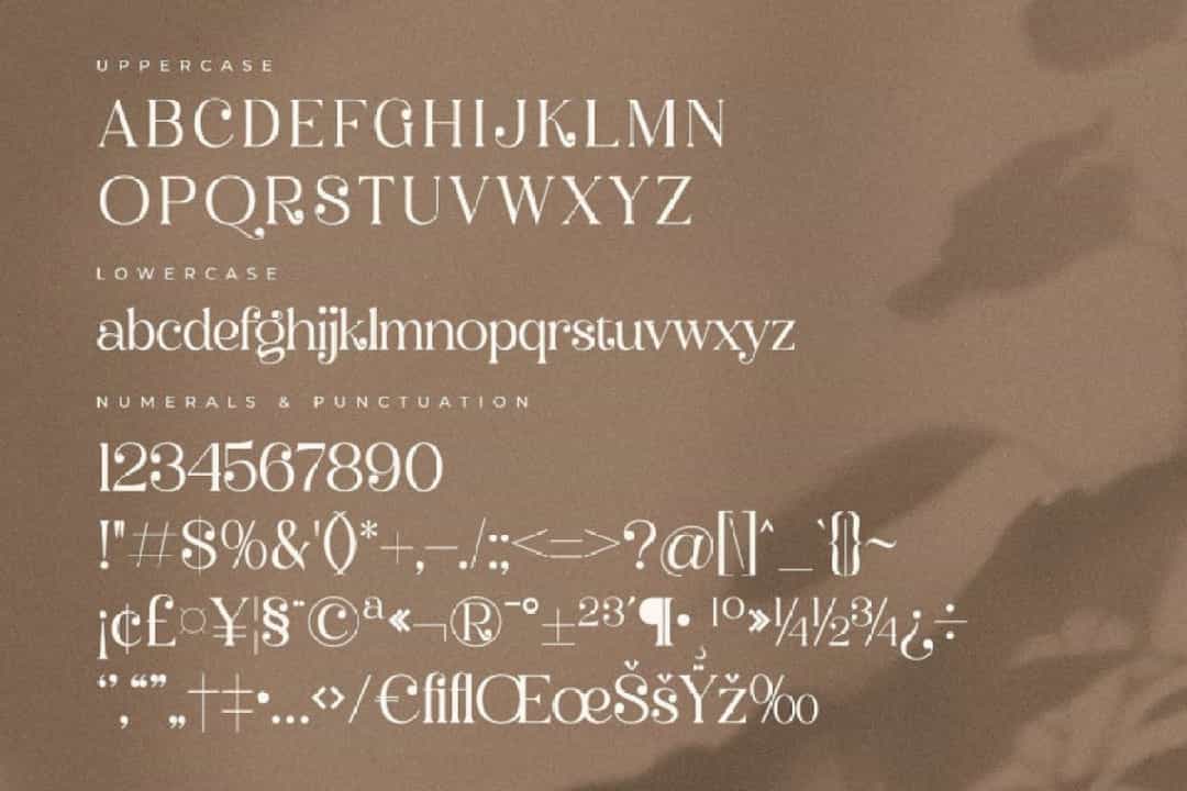Balerga Font Image 3