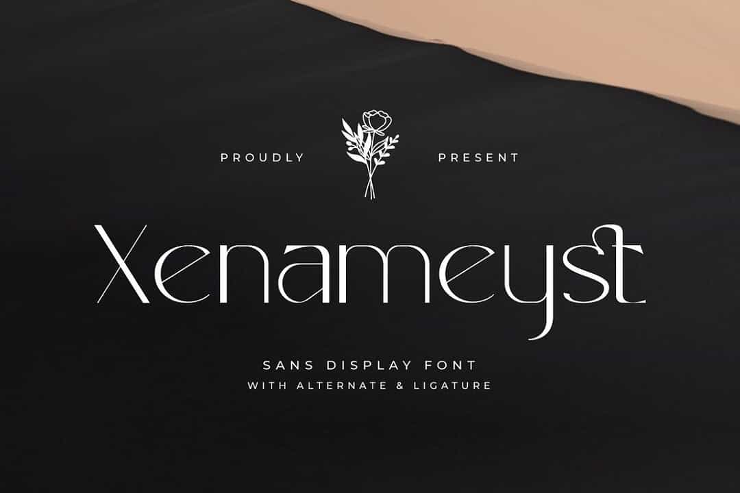 Xenameyst Font Image 1