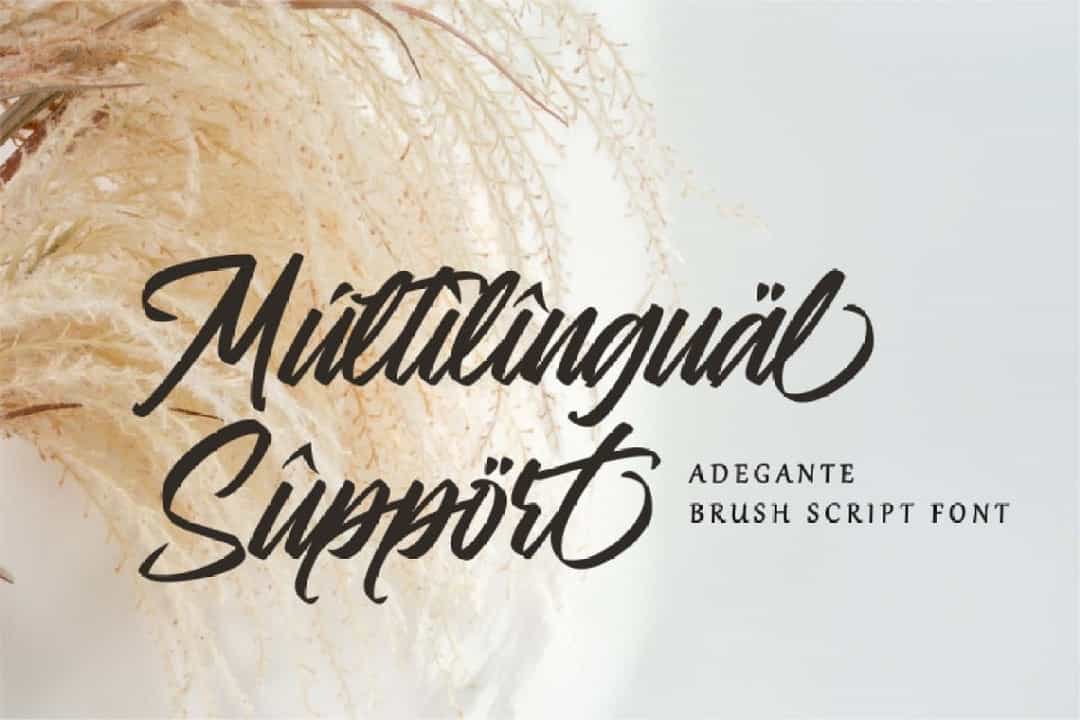 Adegante Font Image 3