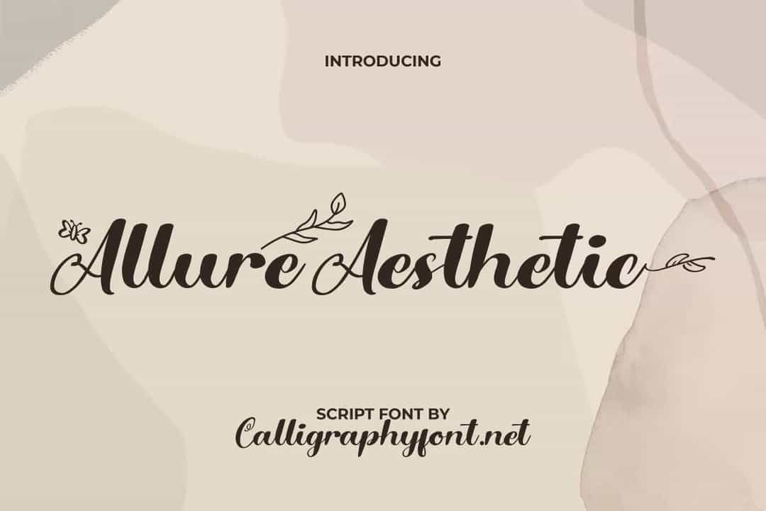 Allure Aesthetic Font Image 1