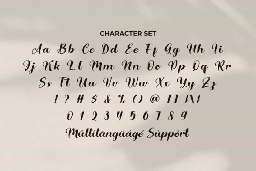 Allure Aesthetic Font Image 3