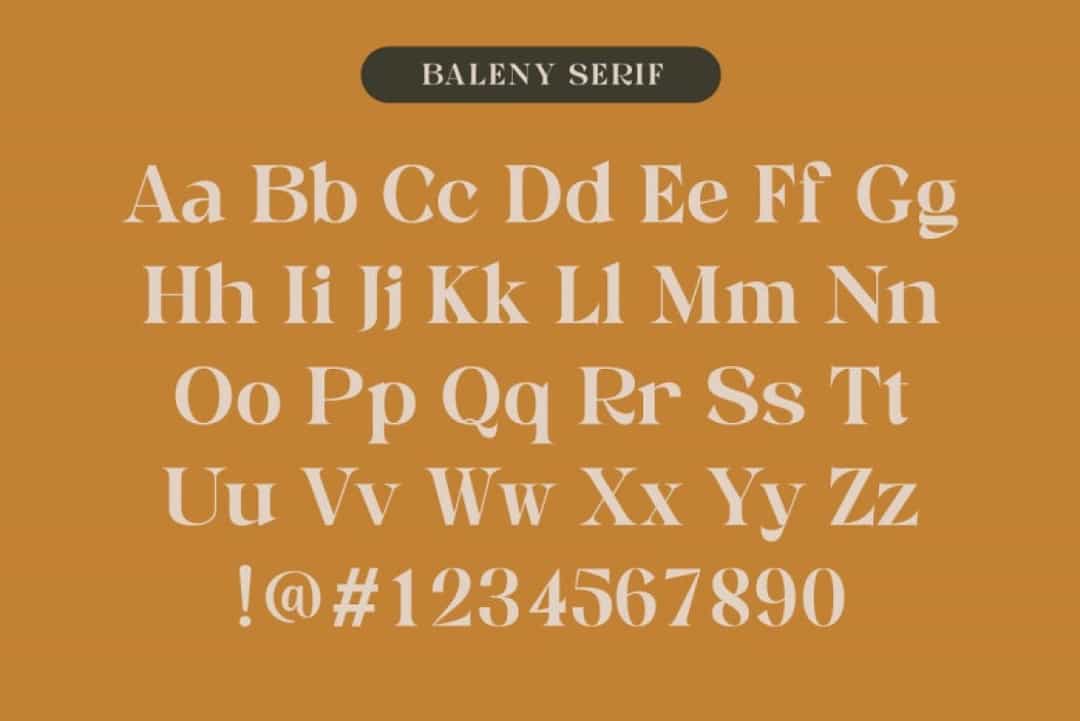 Baleny Elegant Font Image 2