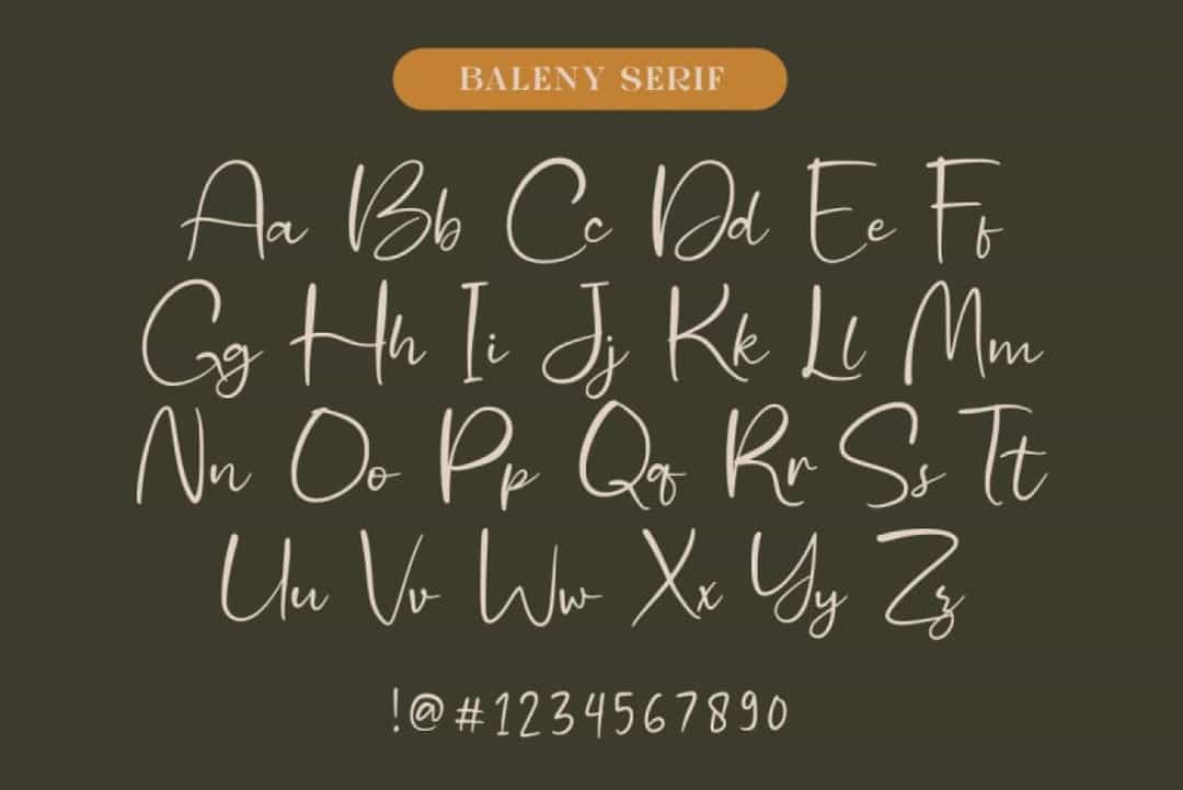 Baleny Elegant Font Image 3