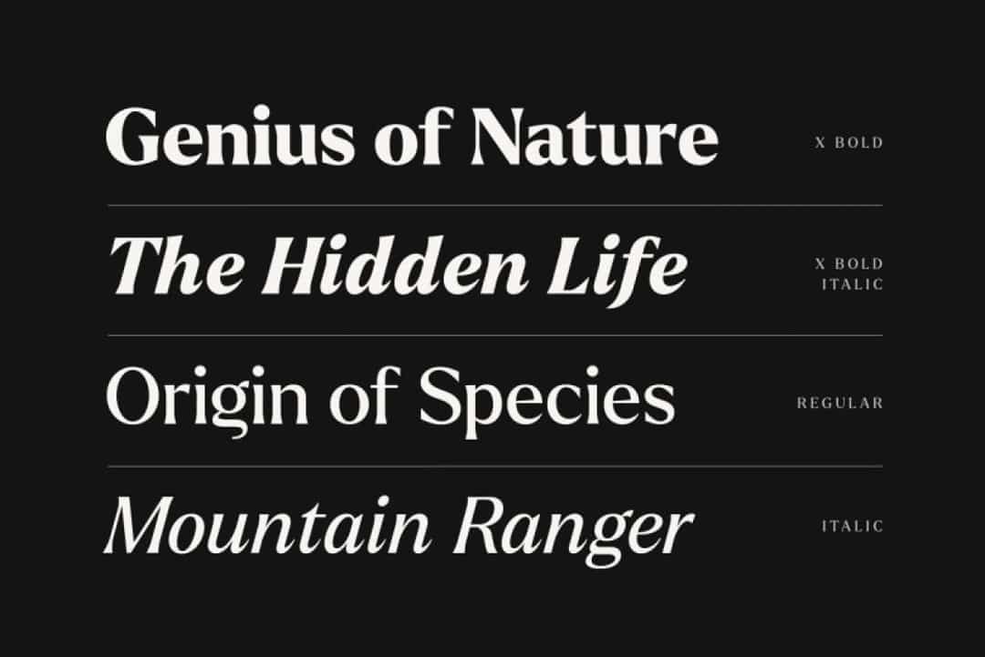 Larken Font Image 2