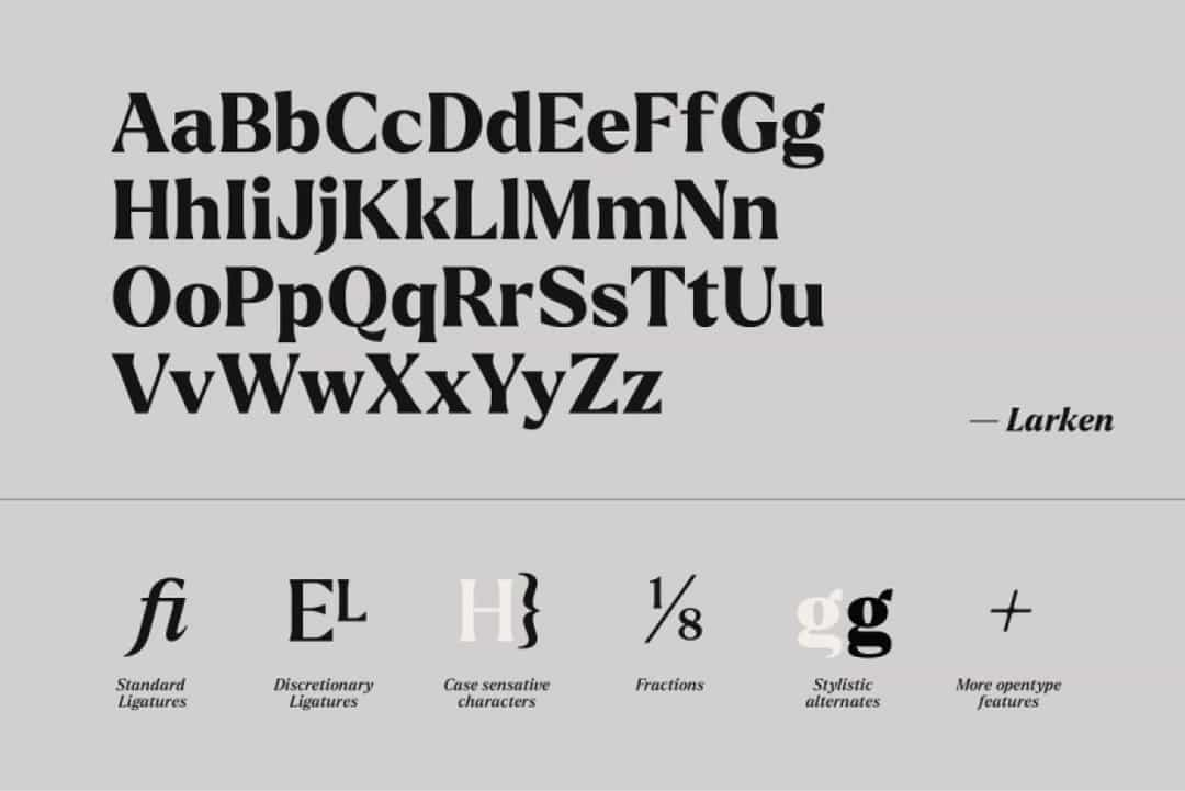 Larken Font Image 3