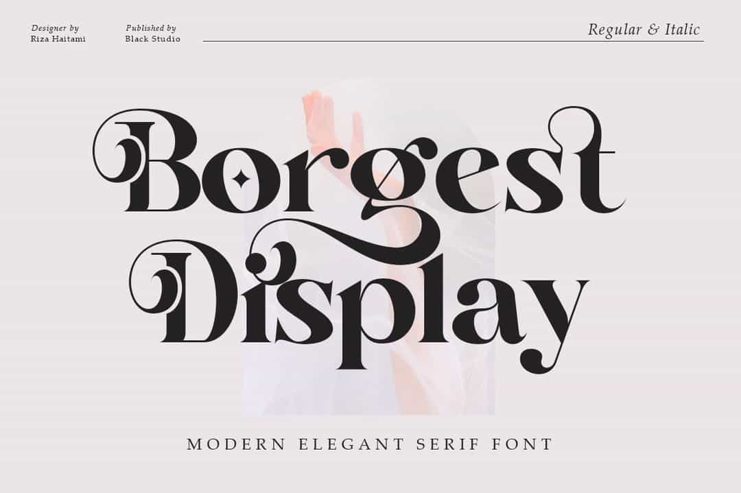 Borgest Display Font Image 1