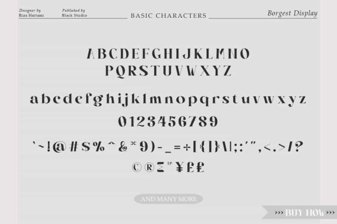 Borgest Display Font Image 3