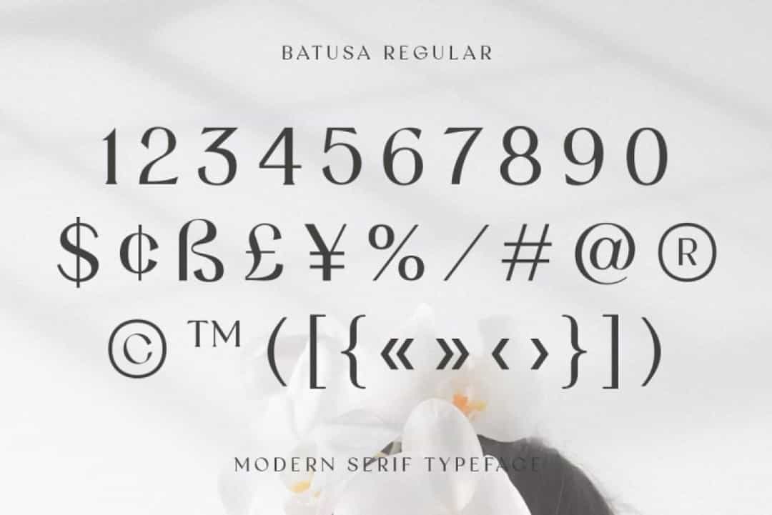 Batusa Font Image 4