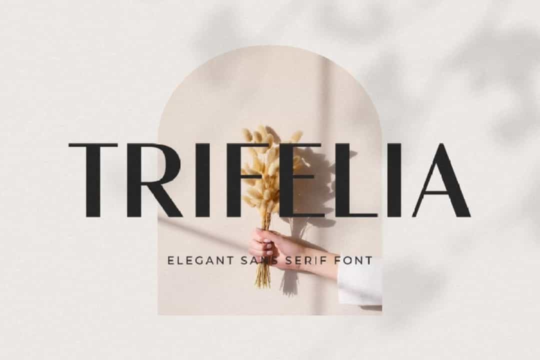 Trifelia Font Image 1