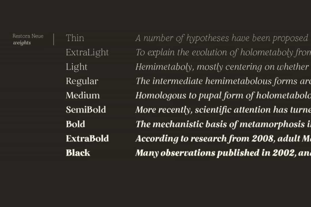 Restora Neue Font Image 2