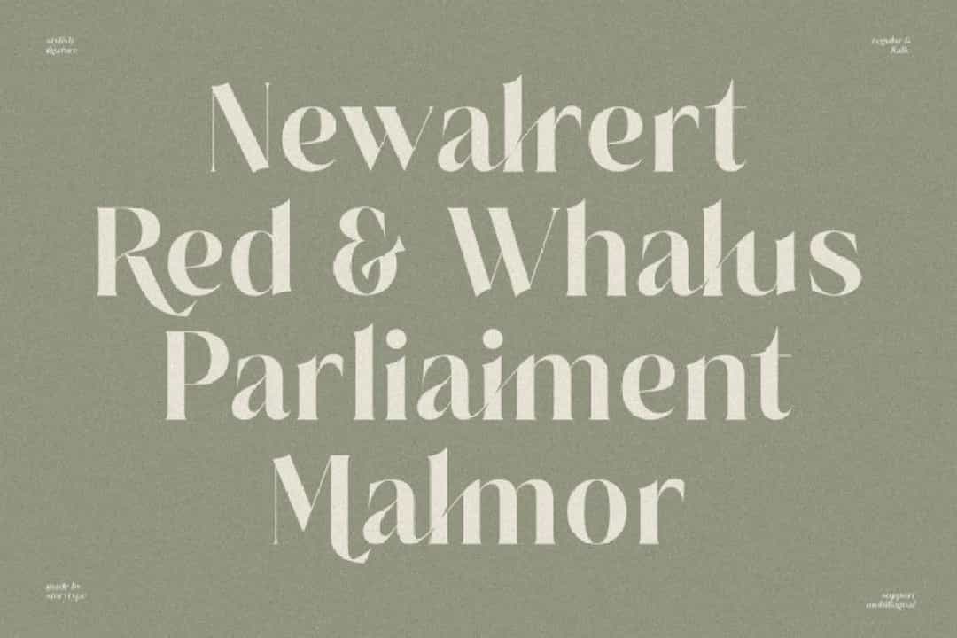 Salgesis Font Image 2