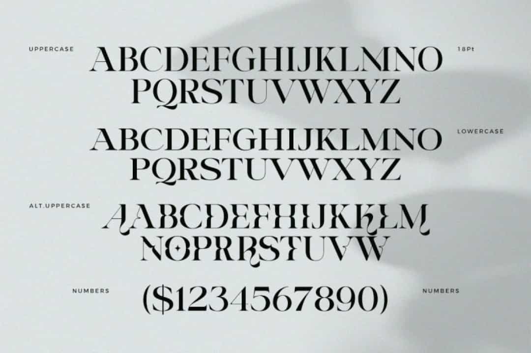Riclose Font Image 2