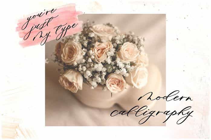 Minimalist Script Font Image 2
