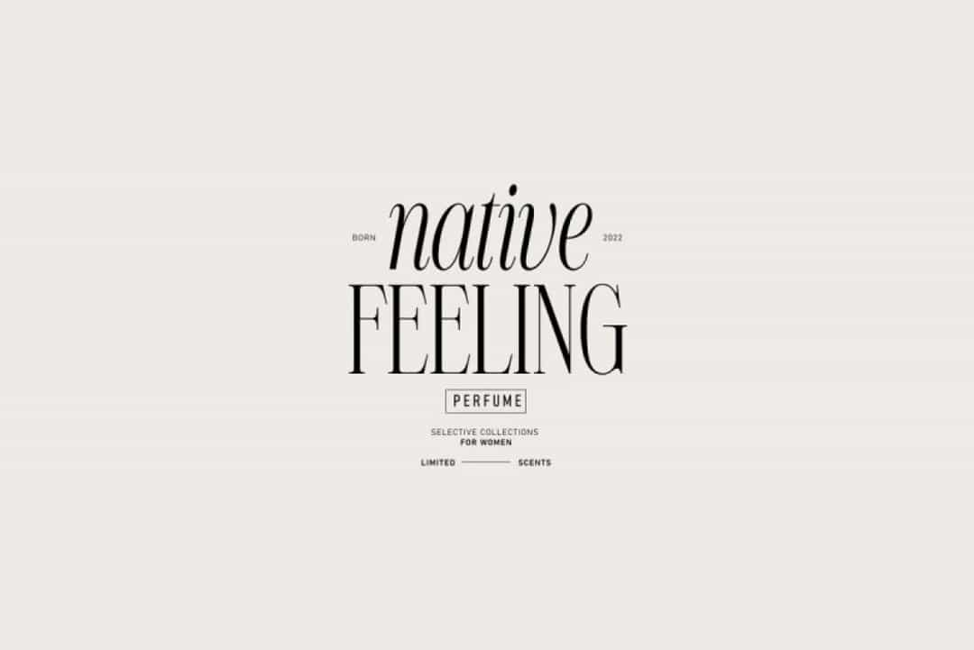 NT Valentino Font Image 3