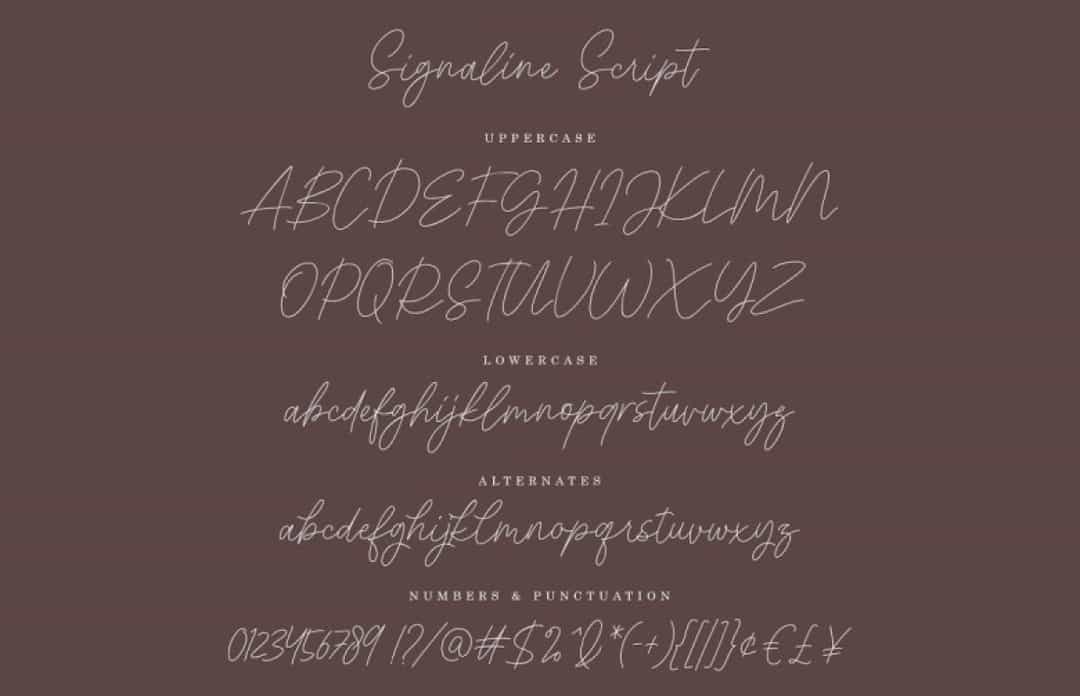 Signaline Font Image 2
