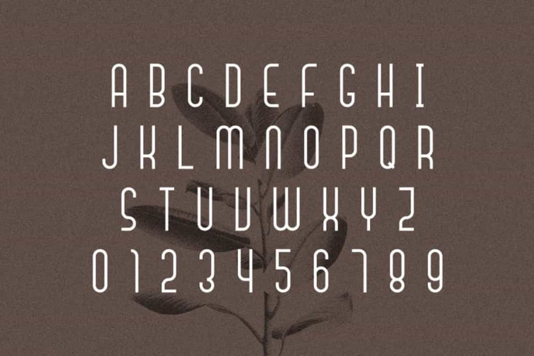 Signaline Font Image 3