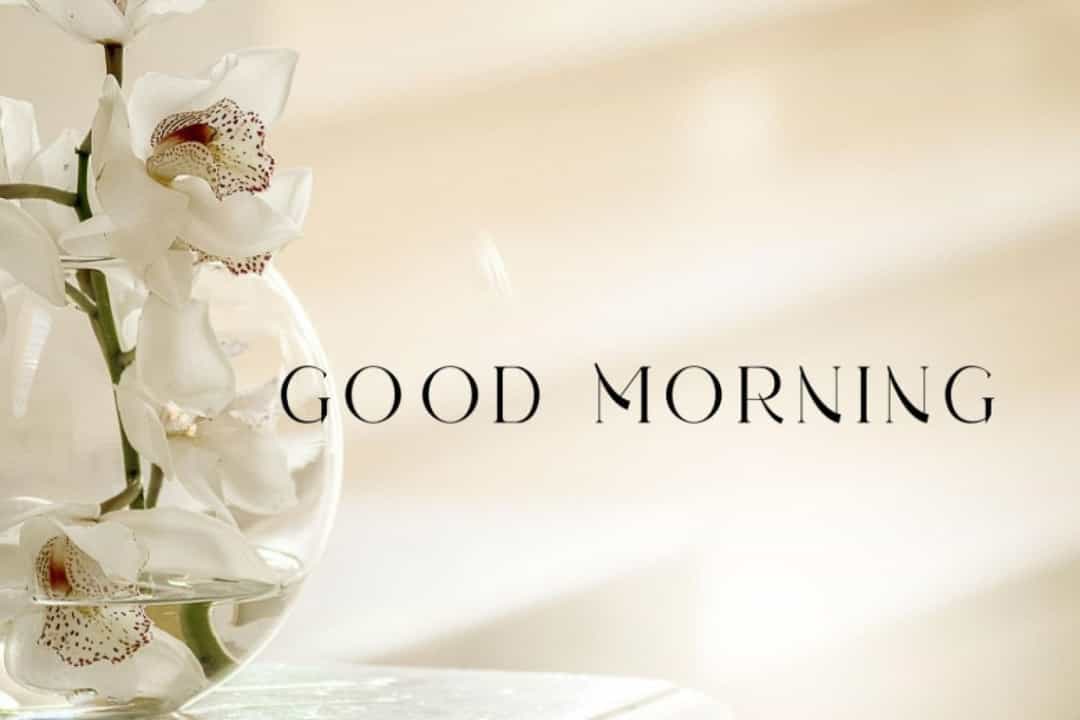 Grandious Font Image 2