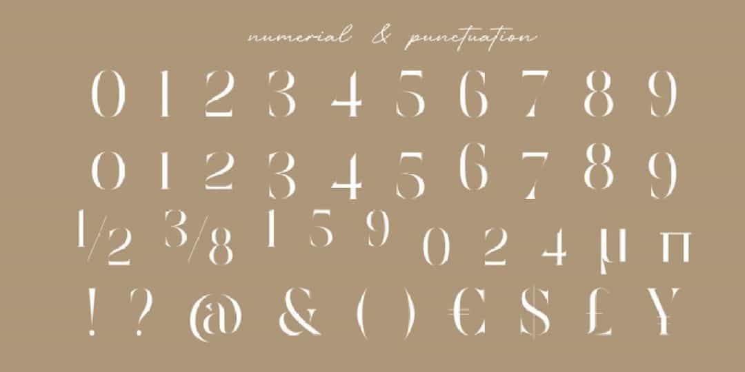 Moguine Serif Font Image 3