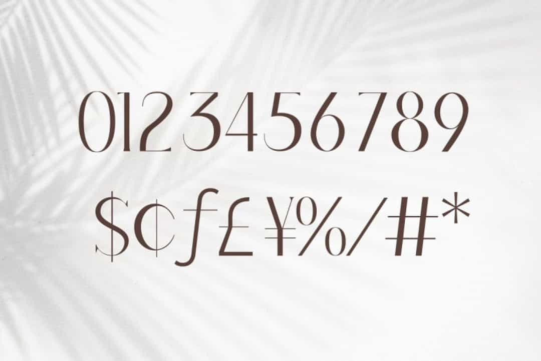 Barieta Font Image 3