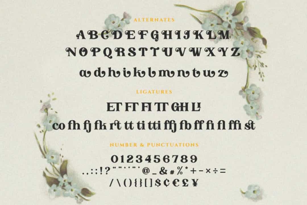 Angon Font Image 3