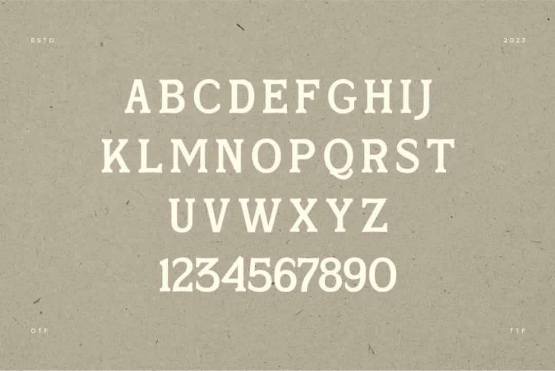 Skinner Morgan Font Image 2