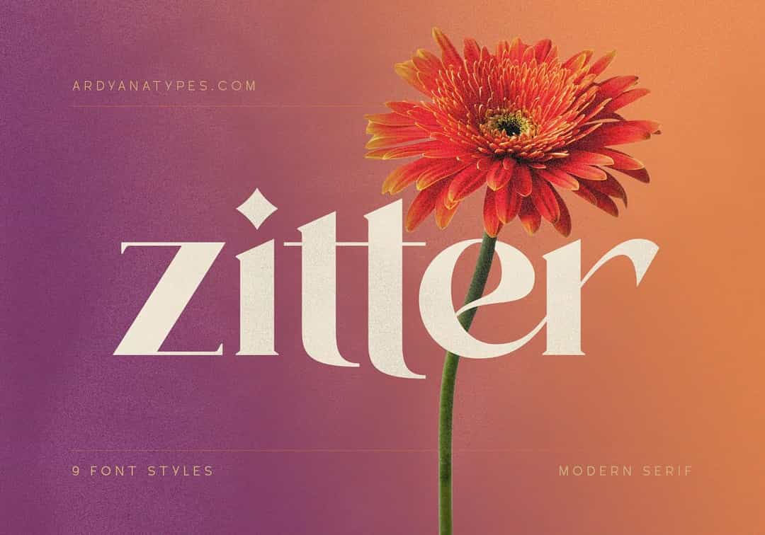 Zitter Font Image 1