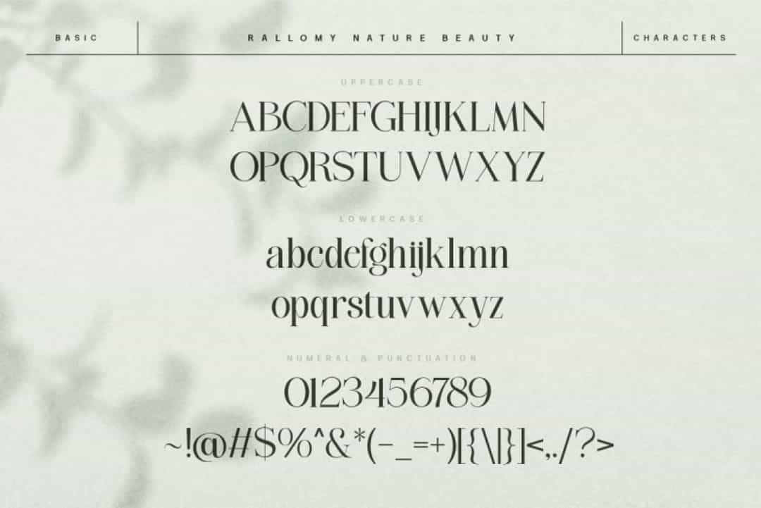 Rallomy Font Image 3