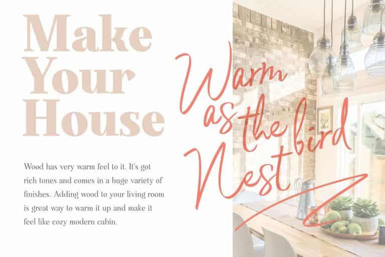 DearPony Serif Font Family Image 2