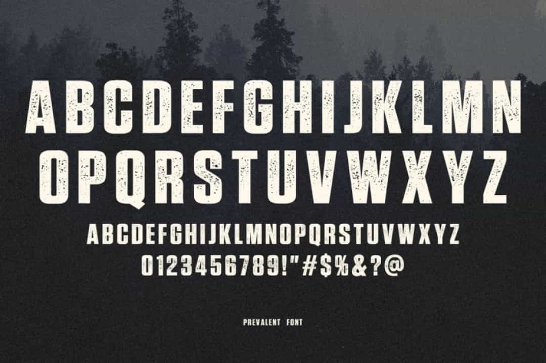 Prevalent Font Image 3