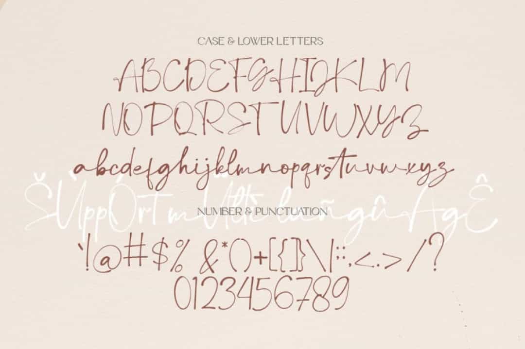Debora Celina Font Image 2