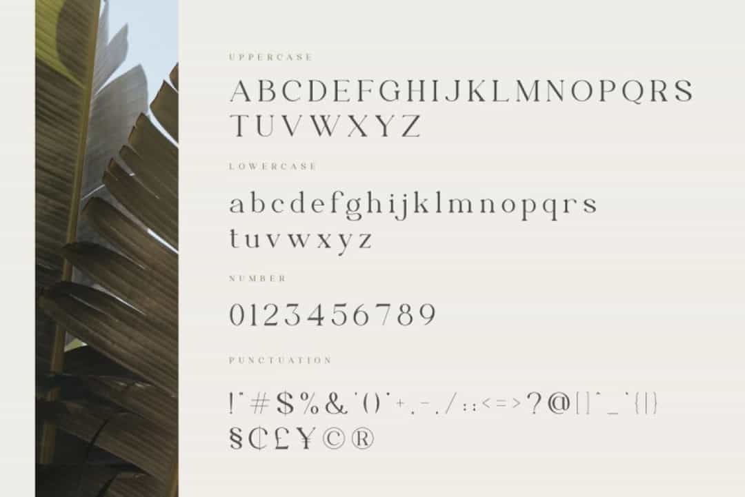 Matcha Font Image 3