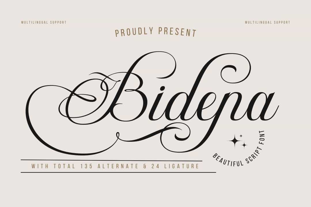 Bidena Font Image 1
