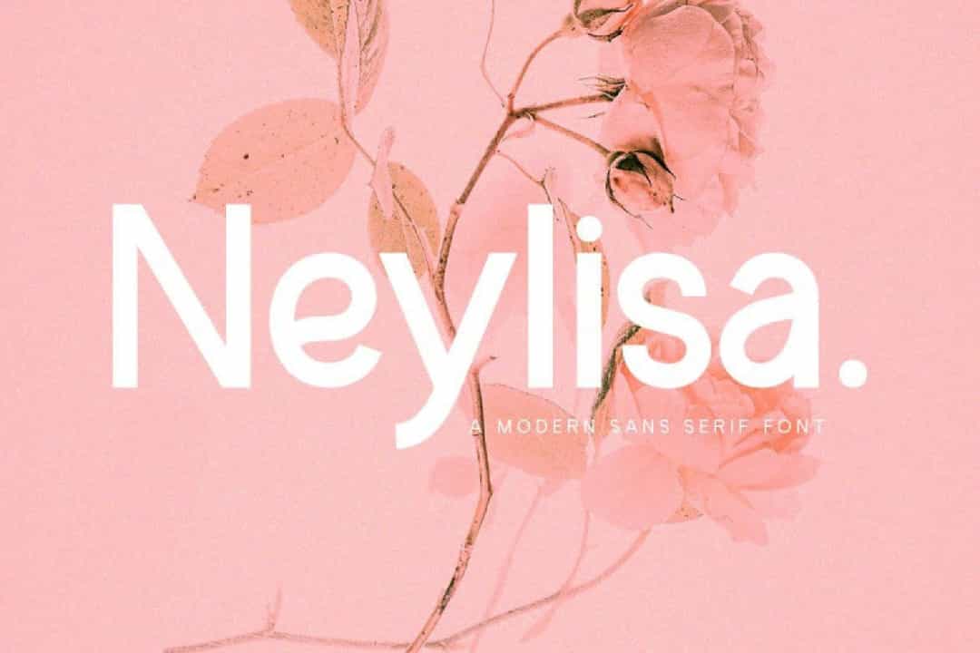 Neylisa Font Image 1