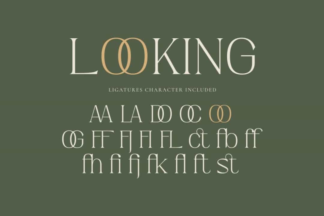 Hiden Certon Font Image 2