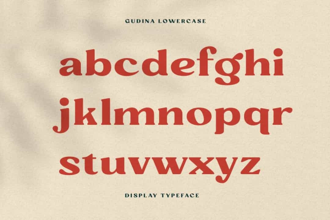 Gudina Font Image 3