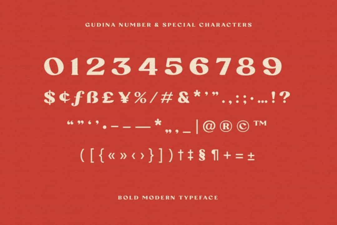 Gudina Font Image 4