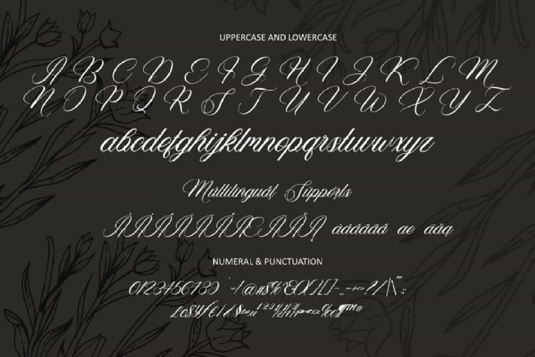 Vagentha Calligraphy Font Image 3