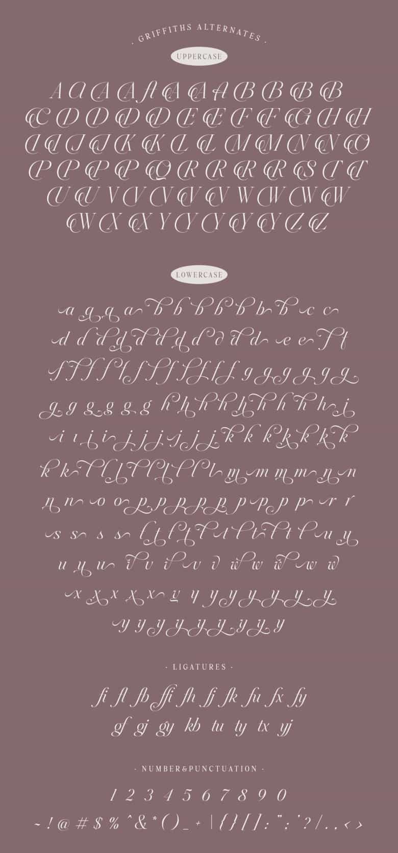 Griffiths Font Image 2