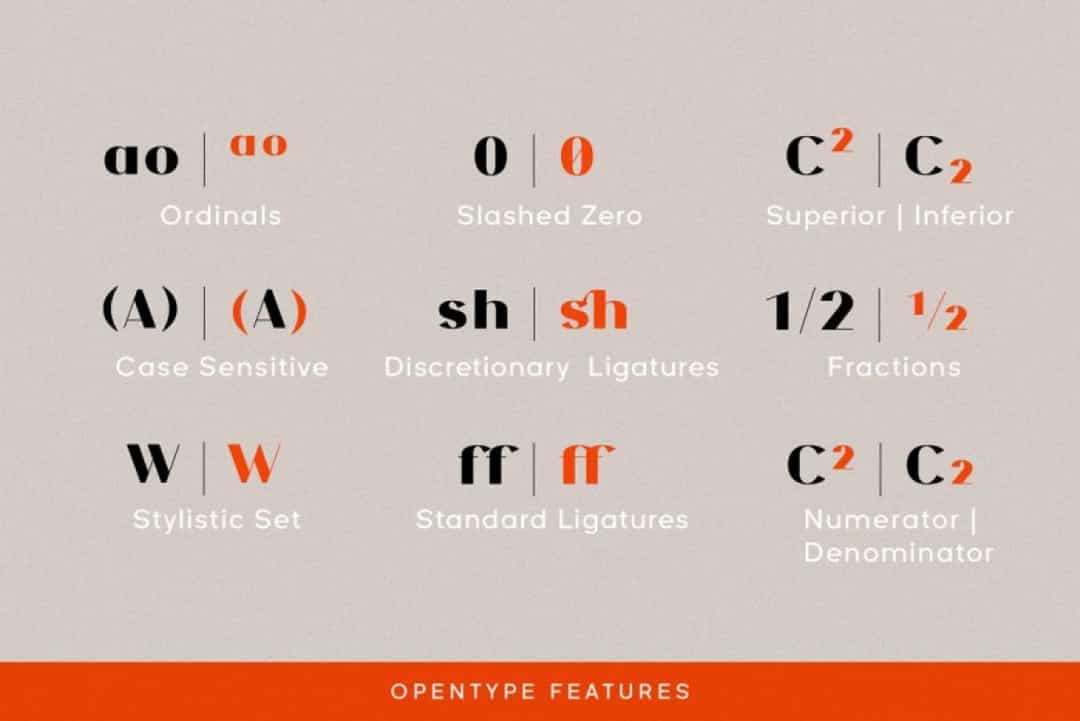 NF Elena Font Image 3