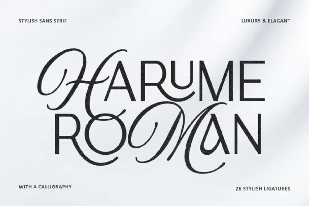 Harume Roman Font Image 1