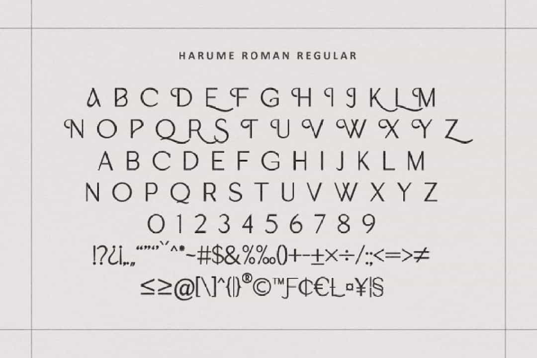 Harume Roman Font Image 3