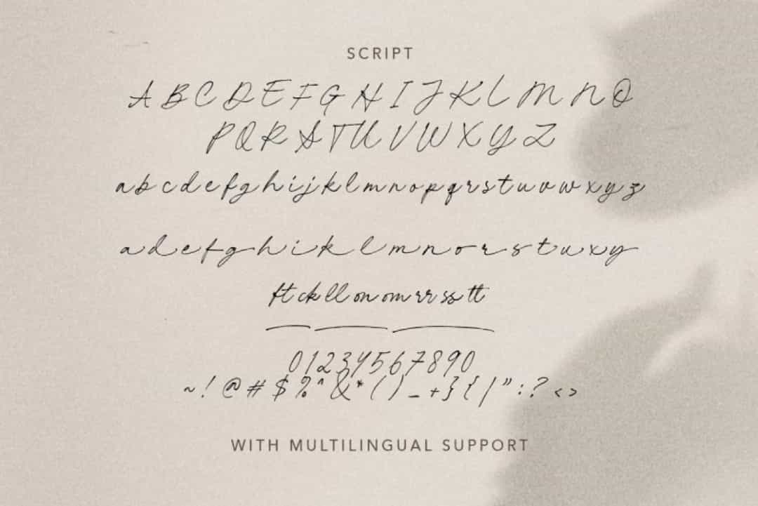 Claire Palmer Font Image 3