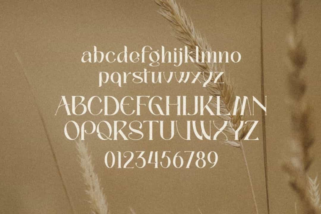 Palmer Sorjan Font Image 3