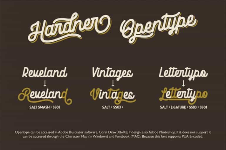 Hardner Vintage Font Image 3