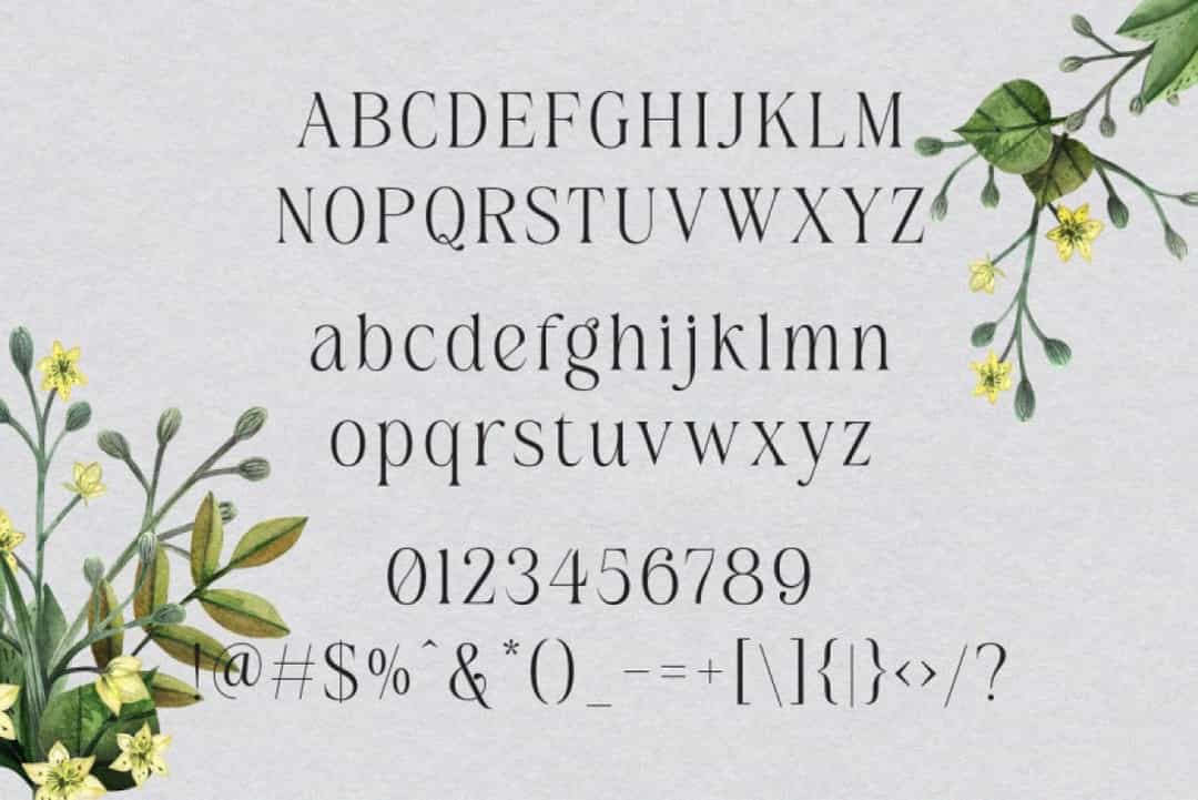 Belinda Avenue Font Image 3