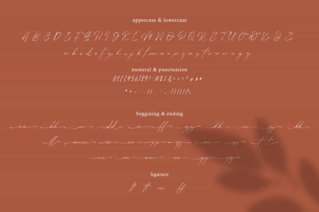 Slashdaily Font Image 3