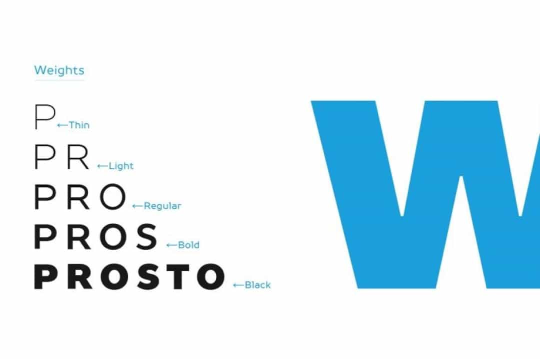TT Prosto Sans Font Image 2