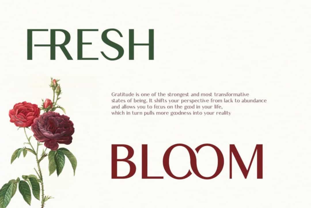 Cheryl Font Image 2