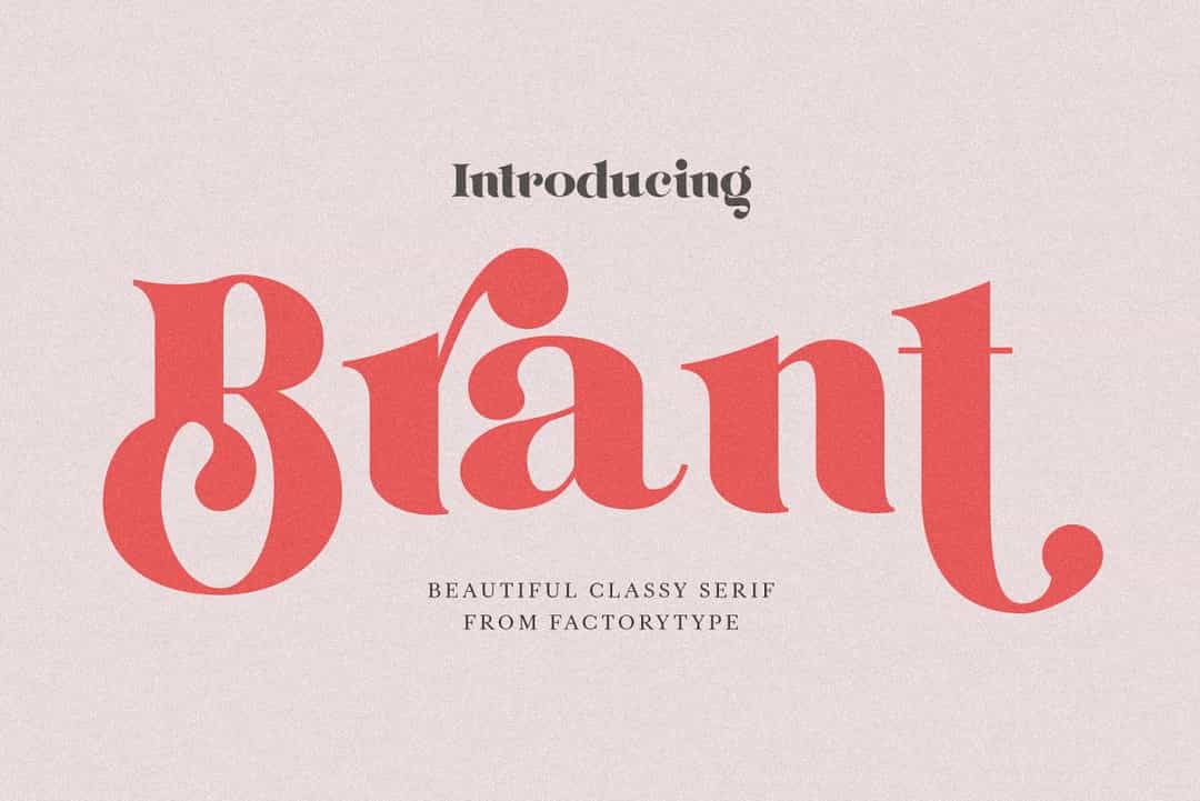 Brant Font Image 1